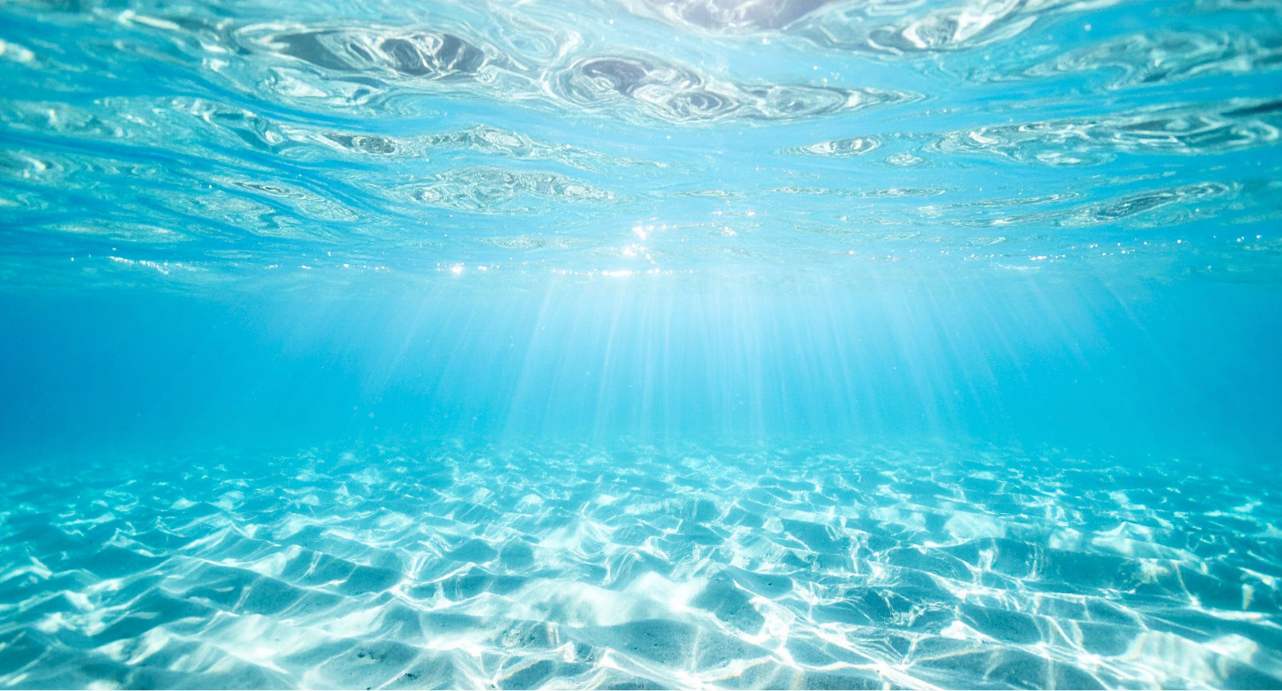 imagen cabecera mar